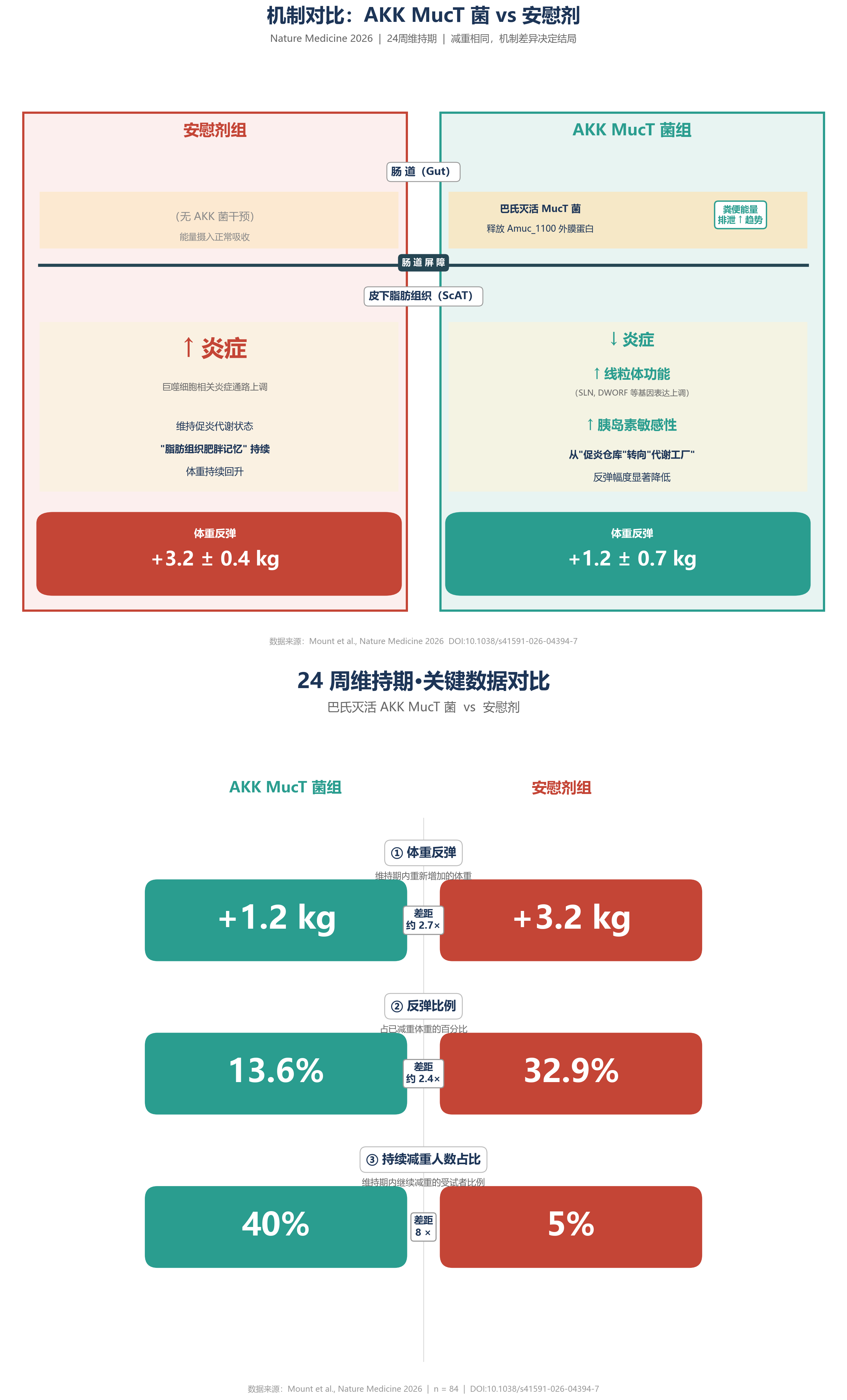 机制对比