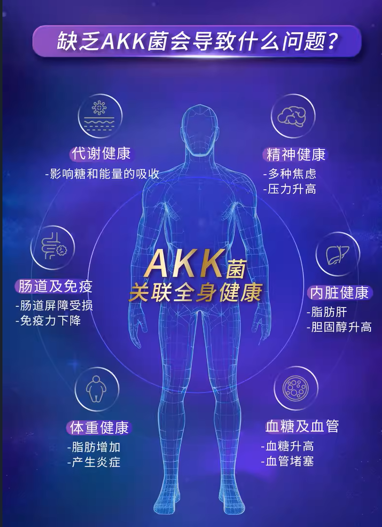 缺乏AKK菌会导致什么问题