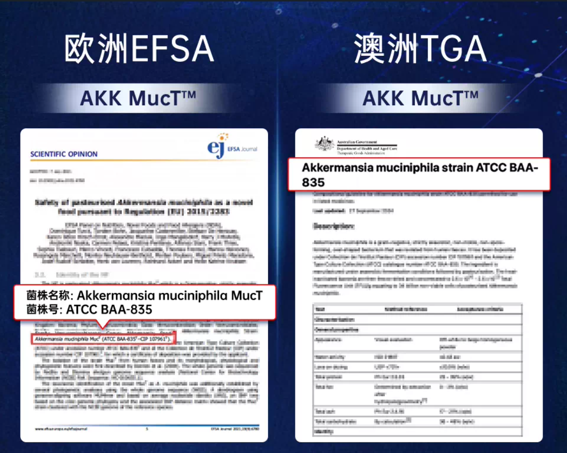 欧洲EFSA 澳洲TGA