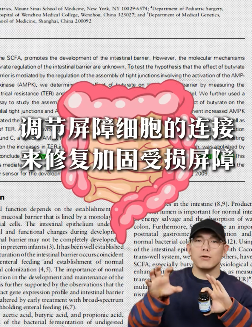 科普插图：肥胖人群与健康体型对比插图