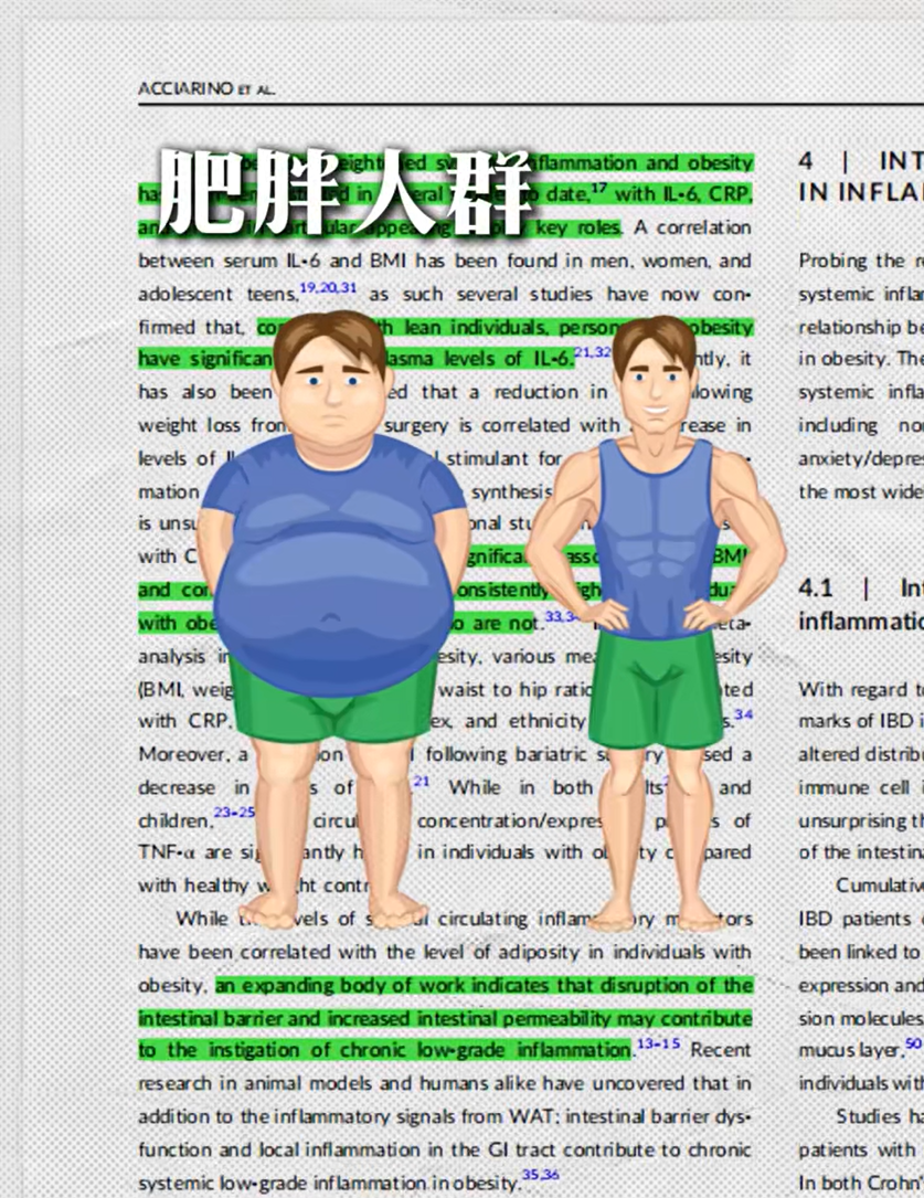 科普信息图：什么是AKK菌？展示嗜粘蛋白阿克曼菌的显微形态与5大核心要点