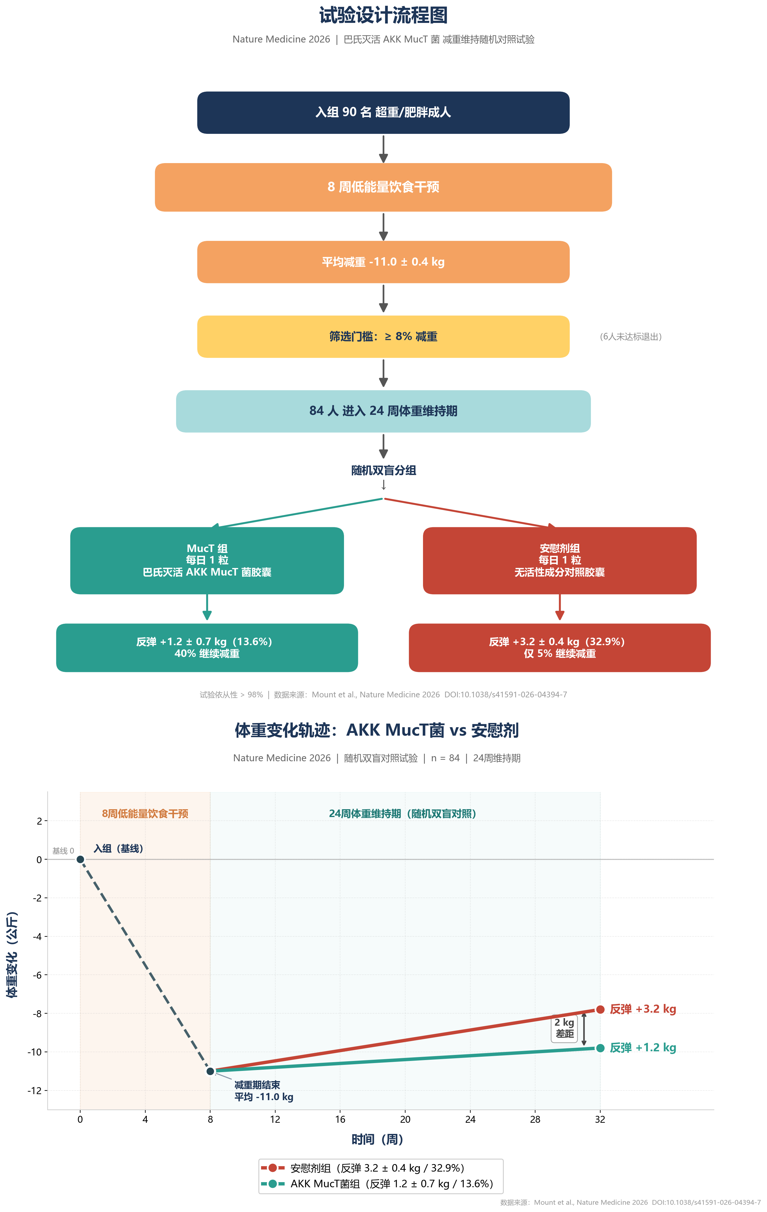 实验设计流程图