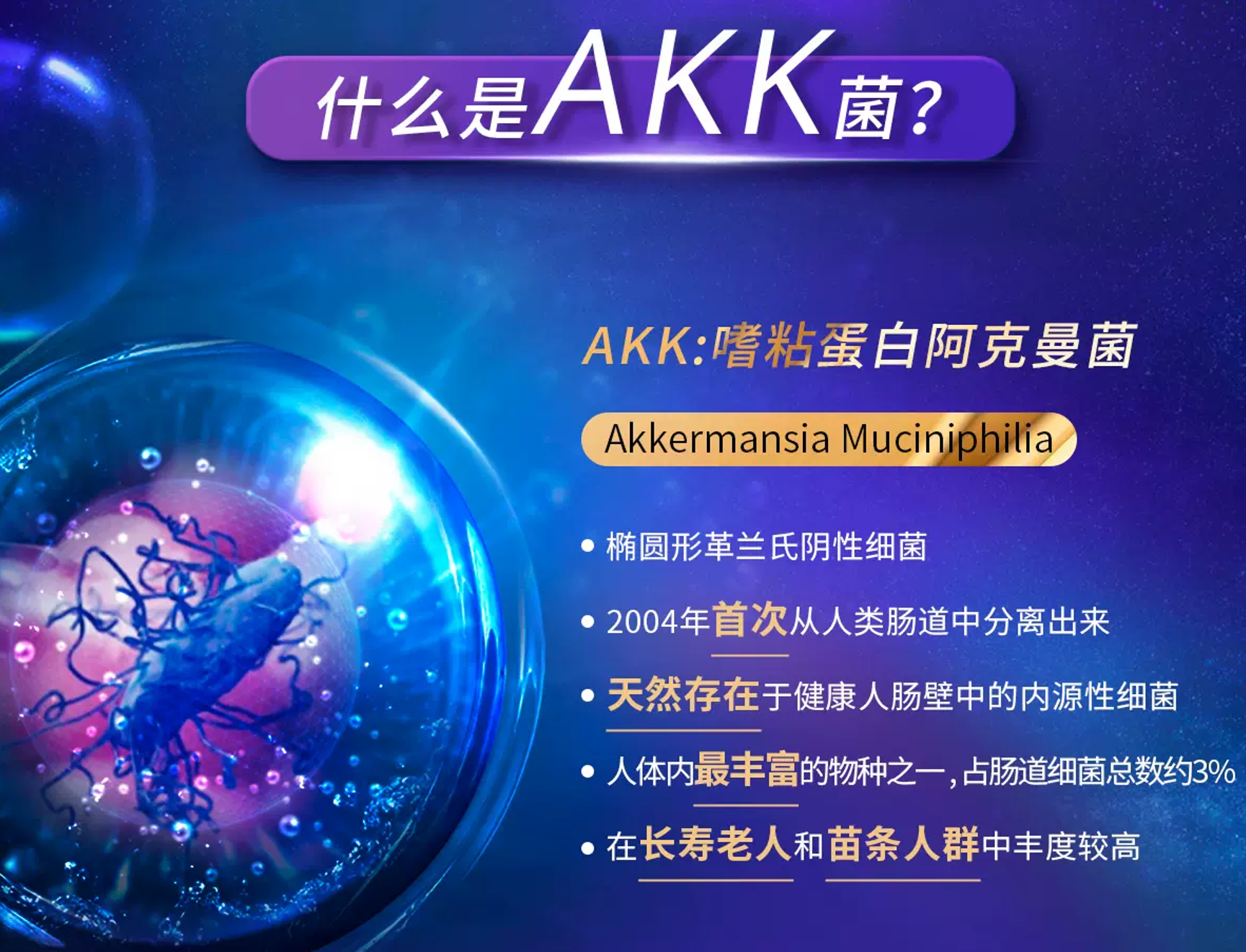 什么是AKK菌